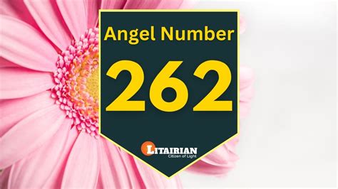 262 angel number love|262 Angel Number Meaning: Balance, Trust, and Partnership